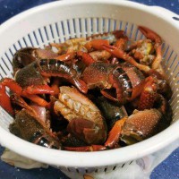 龙虾怎么做好吃又简单(大龙虾家庭做法简单做法窍门)