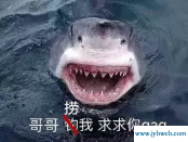 周公解梦梦见捞鱼（梦见捞鱼是什么意思）