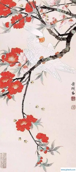 花瑞(花瑞是什么意思解释)