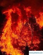 梦见着火了是什么征兆(梦见家里着火了是什么征兆)