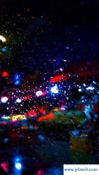 栉风沐雨的意思(栉风沐雨的意思及成语解释)