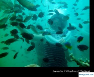 2012年12月13日(2012年12月13日农历是多少)