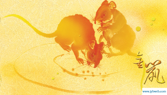 2013年属龙人的运程(属龙人虎年运程)