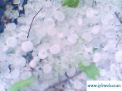 梦到下冰雹(梦到下冰雹是什么征兆 女性)