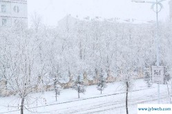 梦见大雪纷飞(梦见大雪纷飞在雪地行走)