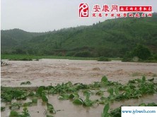 梦见发洪水(梦见发洪水被困是什么意思)