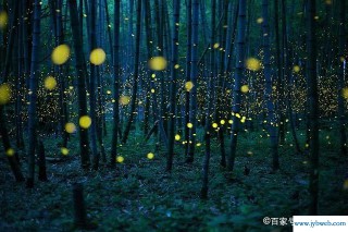 梦见已故的外公(梦见已故的外公还活着是什么意思)