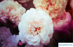 四月初十是什么日子(四月初十八是什么日子)