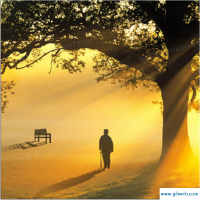 梦见自己迷路了(梦见自己迷路了找不到回家的路是什么意思)