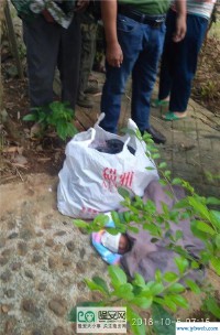 梦见弃婴(梦见弃婴还活着大哭)