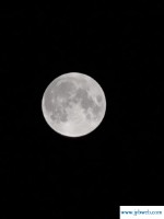 五月十四(五月十四日夜梦陆游)