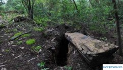 梦见上坟(梦见上坟是什么意思)