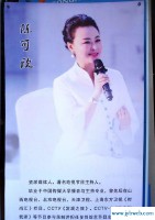 陈可欣(陈可欣个人资料)