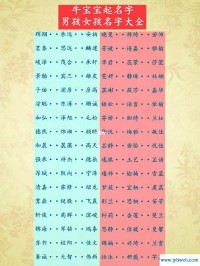 双胞胎名字大全(双胞胎男孩取名字大全)