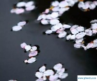 撷怎么读(撷怎么读什么意思)