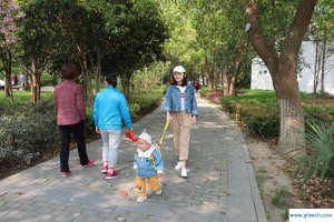 徐浩嘉(徐浩嘉名字五行属什么)