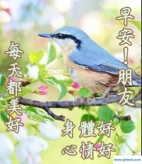 11月6日是什么日子(11月6日是什么日子黄历)