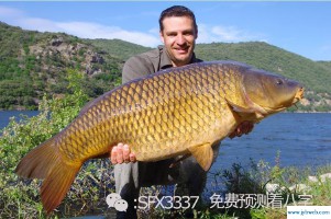 梦见别人买鱼(梦见别人买鱼缸)