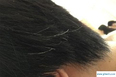 梦见自己长白头发(梦见自己长白头发是什么征兆)