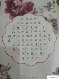 杨淇涵(杨奇函)