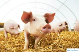 徐心澄(徐心澄就读学校)