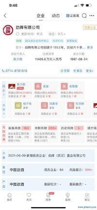 朱弟雄(朱弟雄资产)