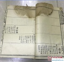 李氏网(李氏网)