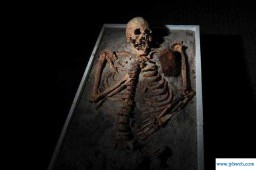 梦到吸血鬼(梦到吸血鬼)