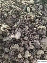 梦见牛粪(梦见牛粪溅到自己身上)