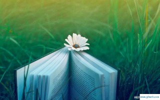 人生如梦是什么意思(人生如梦幻泡影是什么意思)