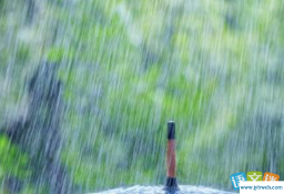 梦见被雨淋湿(梦见被雨淋湿是什么意思)