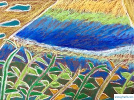 周梦露(周梦露名字)