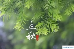 2013年立秋是哪一天(1967年立秋是哪一天)