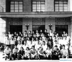 积基树本(积基树本造句)