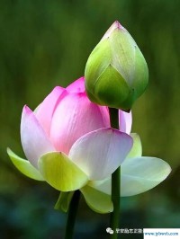 斗志昂扬的意思(斗志昂扬的意思百度百科)