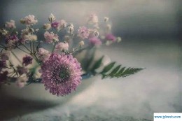 相安无事是什么意思(相安无事的相安是什么意思)