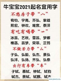 取名大全免费2021年(小孩名字男孩名字大全2021免费)