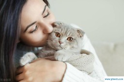 梦到杀猫(做梦梦到杀猫)