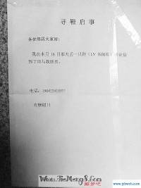 周公解梦梦见鞋丢了(周公解梦梦见鞋丢了找不到)