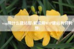 wap用什么建站好(解读用WAP建站有何利弊)