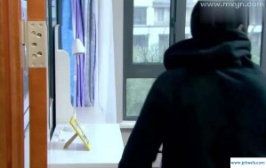 周公解梦梦见偷东西(周公解梦梦见偷东西被逮住)