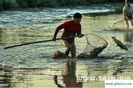 做梦梦到抓鱼(做梦梦到抓鱼抓王八)