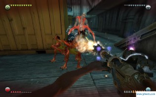 梦境杀手(梦境杀手弗莱迪电影)