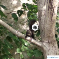 宋星辰(宋星辰的真实身份)