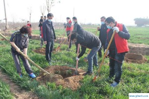 张种树(种树将军)