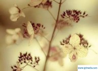 说说心情短语人生感悟(说说心情短语人生感悟的句子)