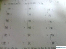 条字组词(逢字组词)