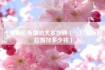 一般阿拉斯加幼犬多少钱（一只熊版阿拉斯加多少钱）