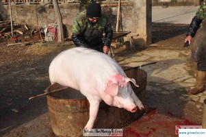 梦见杀了很多人(梦见杀了很多人流了很多血)