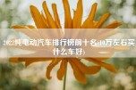 2022纯电动汽车排行榜前十名(10万左右买什么车好)